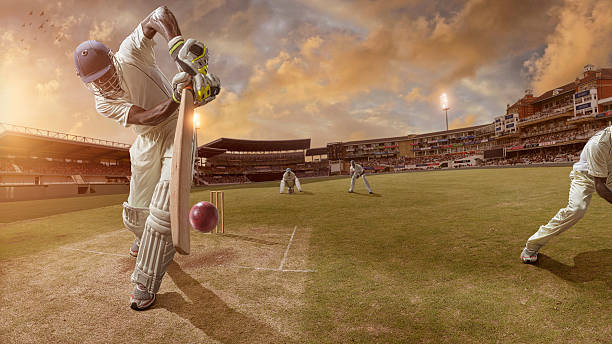 Elevate Your Cricket Experience with Cricbet99: A Comprehensive Guide