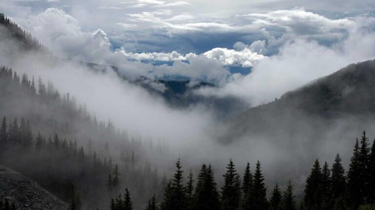 Where To Get 11Xplay Online Pro App Download?