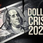 Allpaanel Review: Innovative Solar Solutions & the Allpanelexch Marketplace Explained